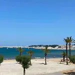 Mimosa * L' Escala