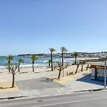 Mimosa * L' Escala