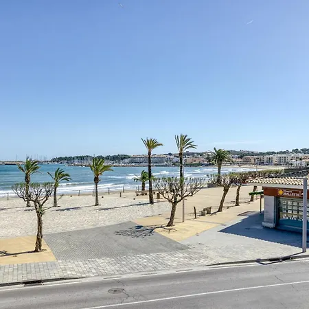 Mimosa L'Escala