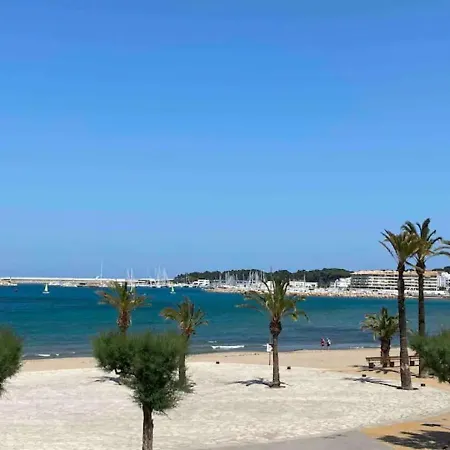 Mimosa * L' Escala