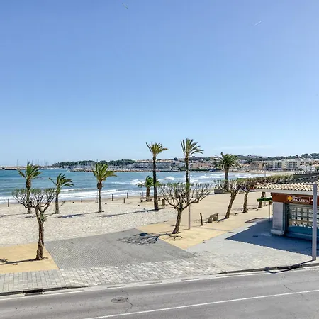 Mimosa * L' Escala