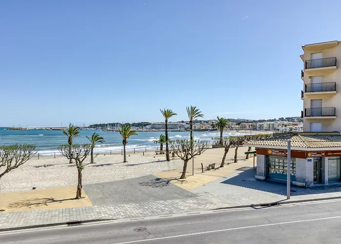 Mimosa * L' Escala